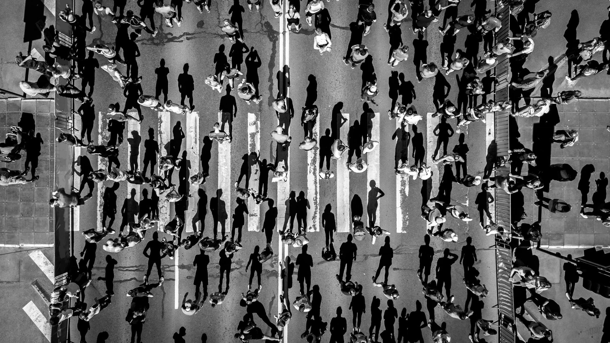 Shutterstock 1068777002